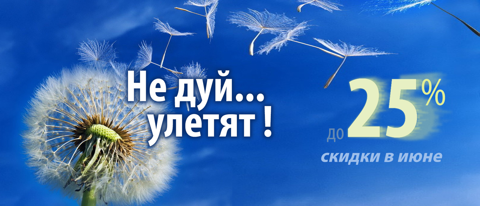 Скидка до 25%