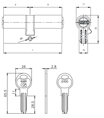  Guard G100